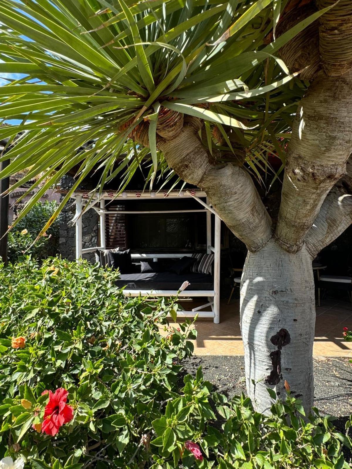 Castillo Lanzarote Villa Bailey - Luxury Villa - Pet Friendly With Heated Pool La Asomada  Extérieur photo