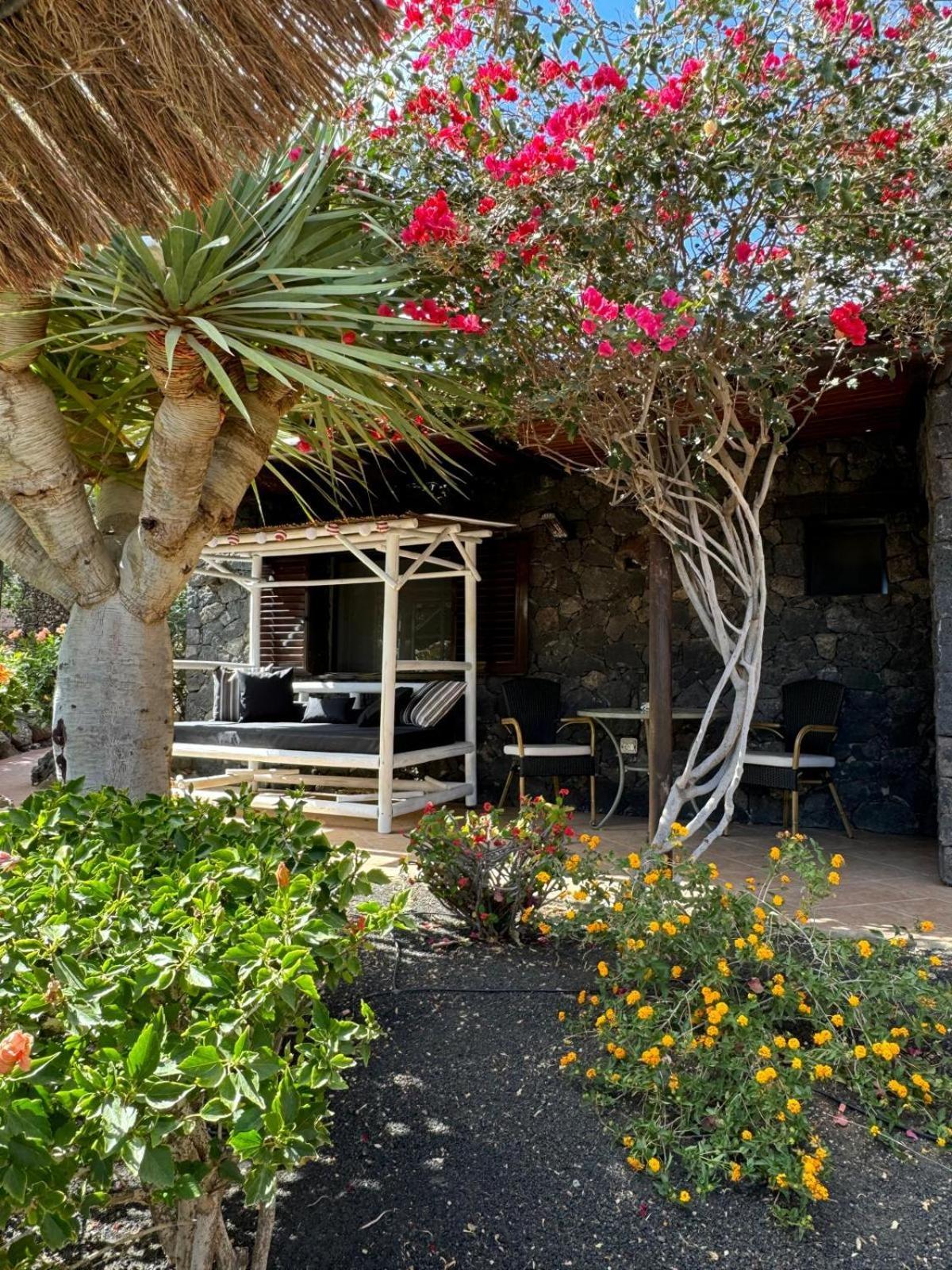 Castillo Lanzarote Villa Bailey - Luxury Villa - Pet Friendly With Heated Pool La Asomada  Extérieur photo
